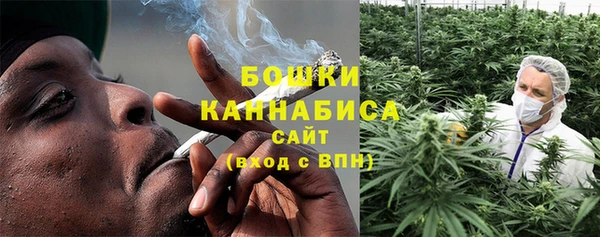 твердый Магас