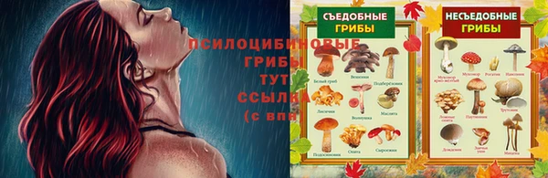 ALPHA PVP Вяземский