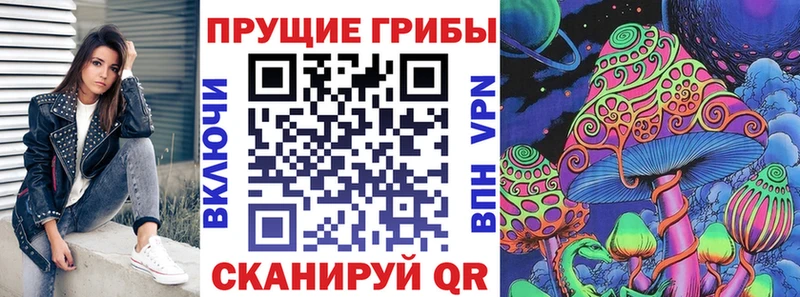 Псилоцибиновые грибы мицелий  Купить закладки  Исилькуль 